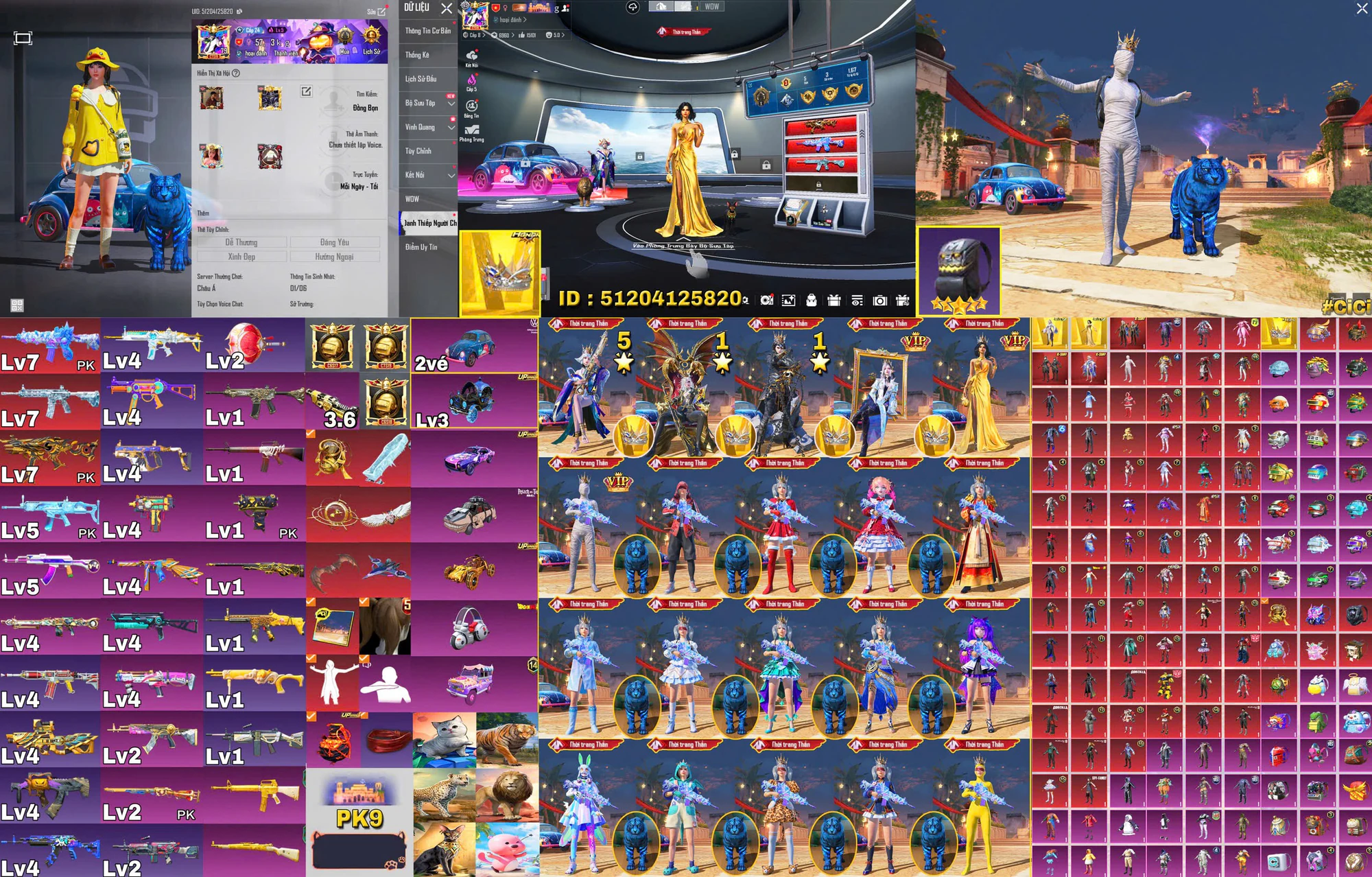 Ảnh tài khoản mã 10223
