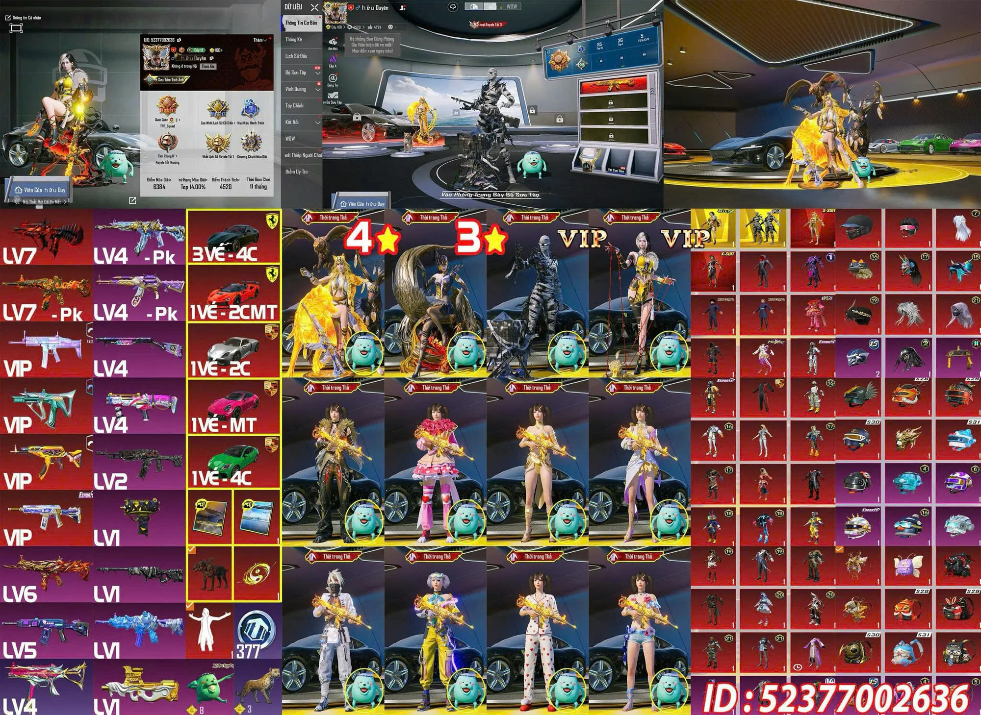 Ảnh tài khoản mã 9096
